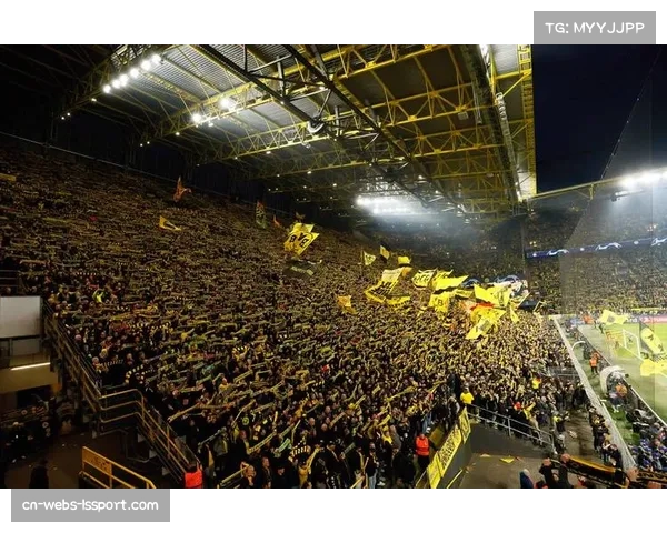 特写：看台上孤单的南看台，多特蒙德球迷抗议票价上涨